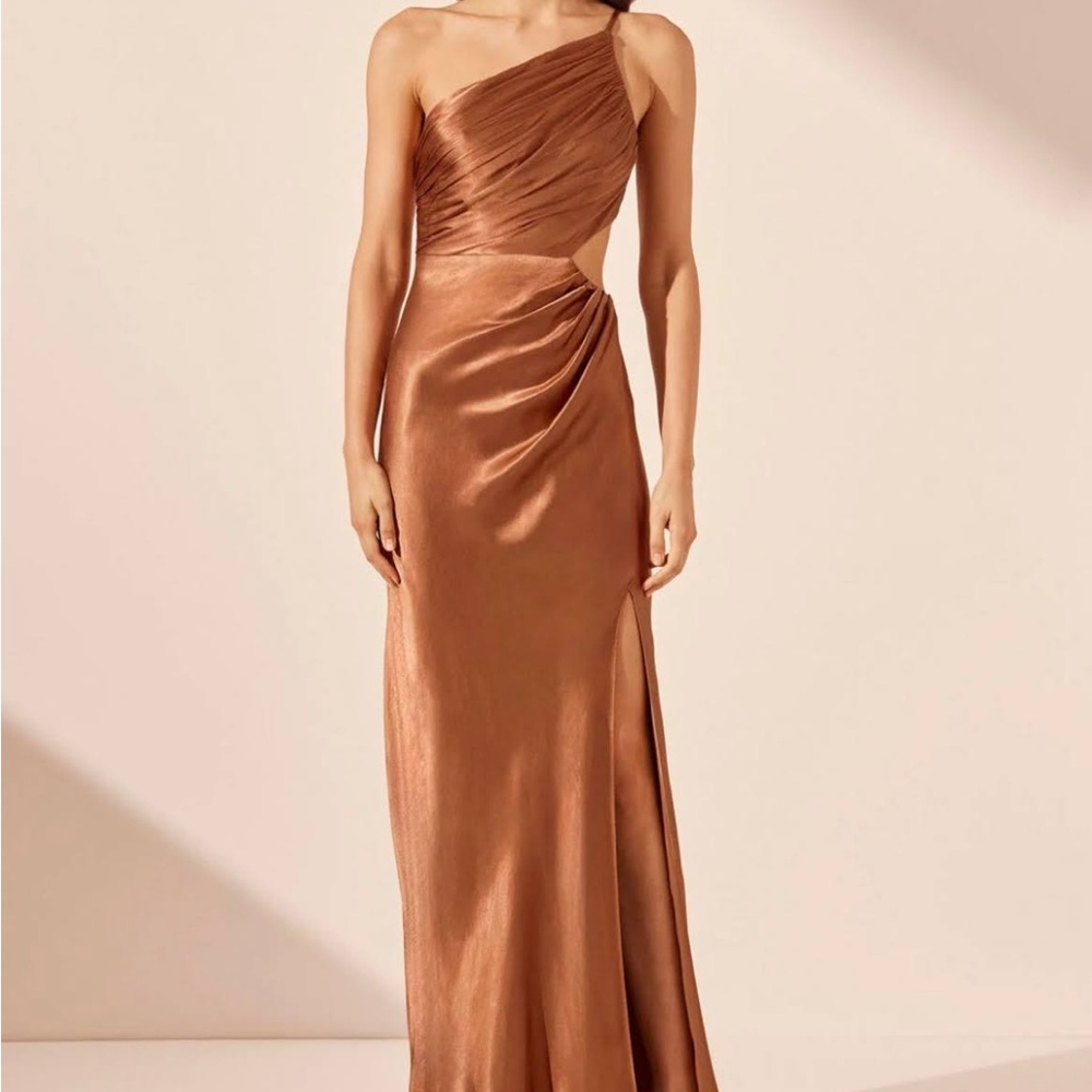 Shona Joy Copper Dress
